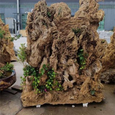 庭院假山石雕 (3)