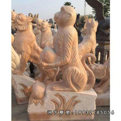 学校动物猴子石雕